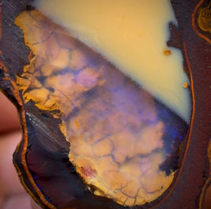 78.3cts - “Fifty Fifty” Yowah Nut Partial Crystal Centre Rough Specimen Pair