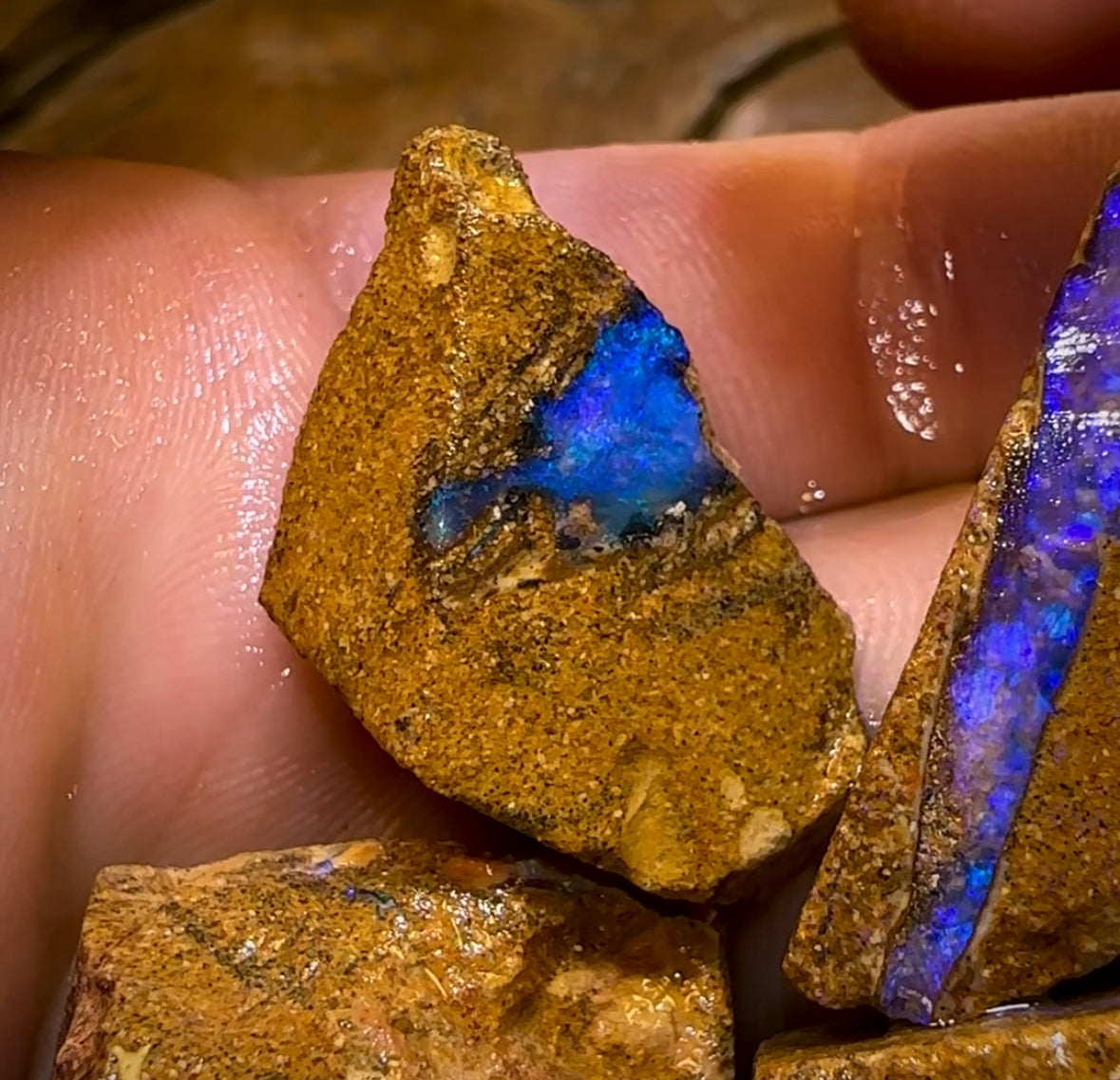 227cts - 5x Queensland Boulder Pipe Opal Rough Parcel