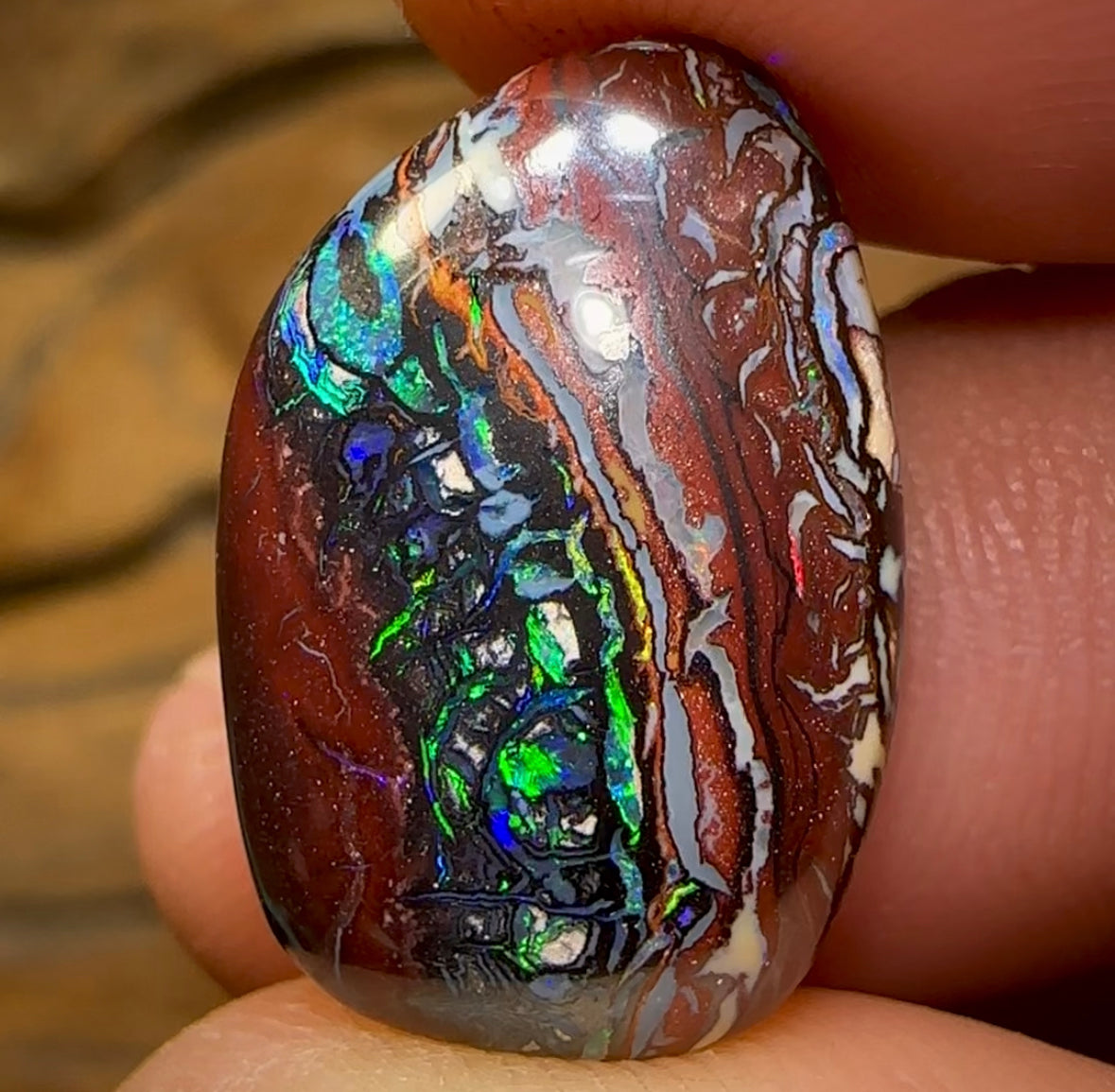 19.8cts - Queensland Boulder Opal from Koroit - Opal Whisperers