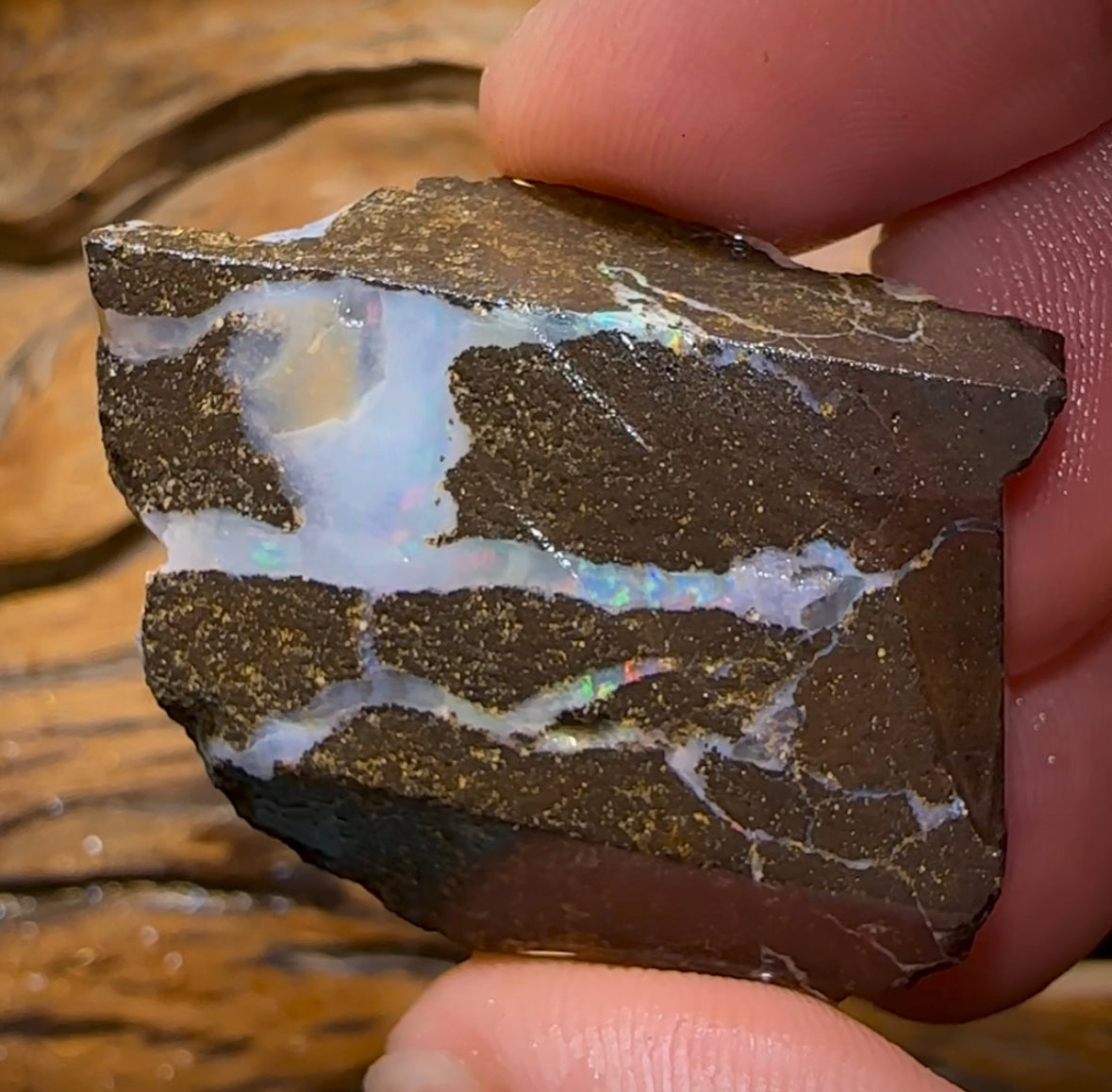 104.1cts - “Carvers Delight”Australian Boulder Opal Rough Preform. Natural Split - Opal Whisperers