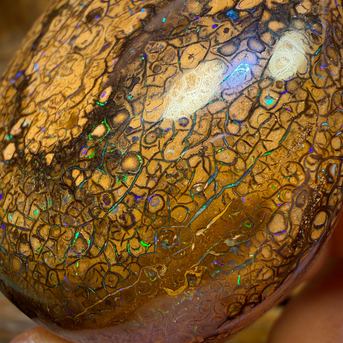 Wild Card! 289.4cts - Huge Tan Intricate Tribal Queensland Boulder Opal from Yowah