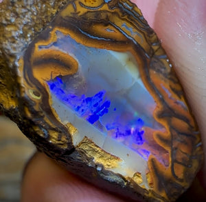 44.3cts - Yowah Nut Crystal Centre Rough Specimen