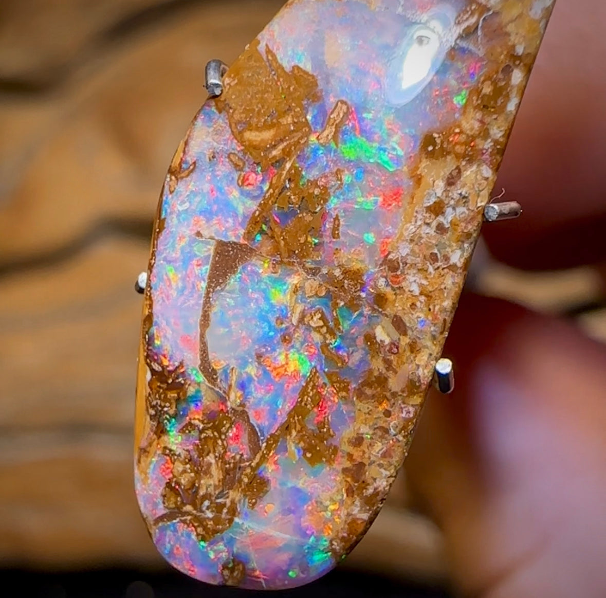 6.2cts - Queensland Boulder Pipe Opal from Yowah with Red
