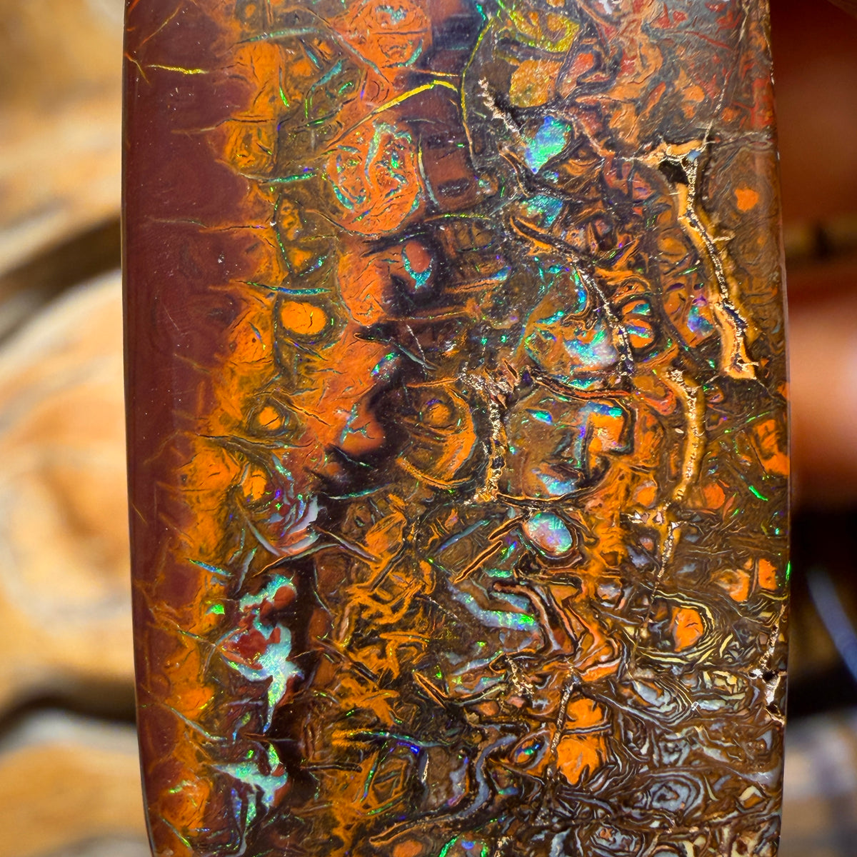 33 x 18mm - Drilled Tribal Queensland Boulder Opal Necklace