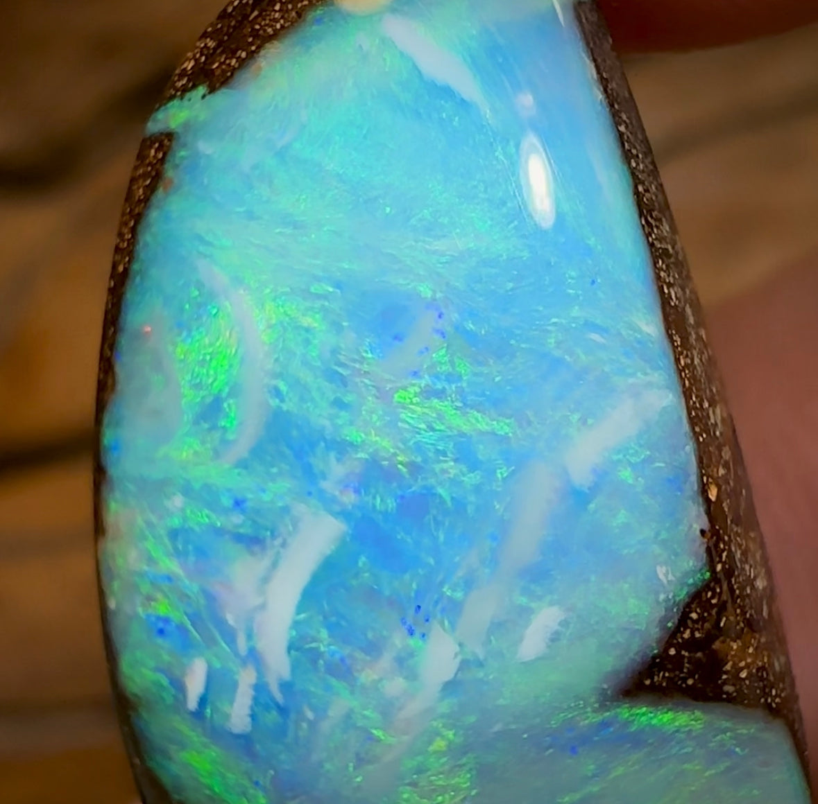 40.1cts - Queensland Boulder Opal from Winton - Opal Whisperers