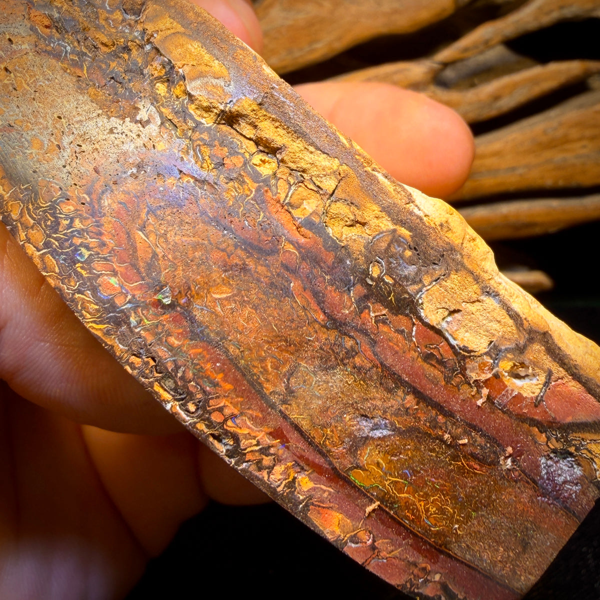 2082cts - HUGE Tribal Australian Boulder Opal Polished Specimen