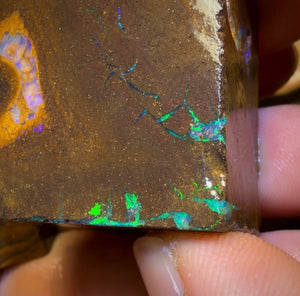 🔒Dealers Wildcard 507.7cts - 2x Australian Boulder Seam Opal Rough Pieces