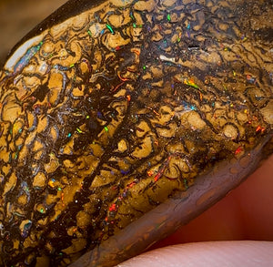 53.6cts - Tribal Australian Boulder Opal from Yowah