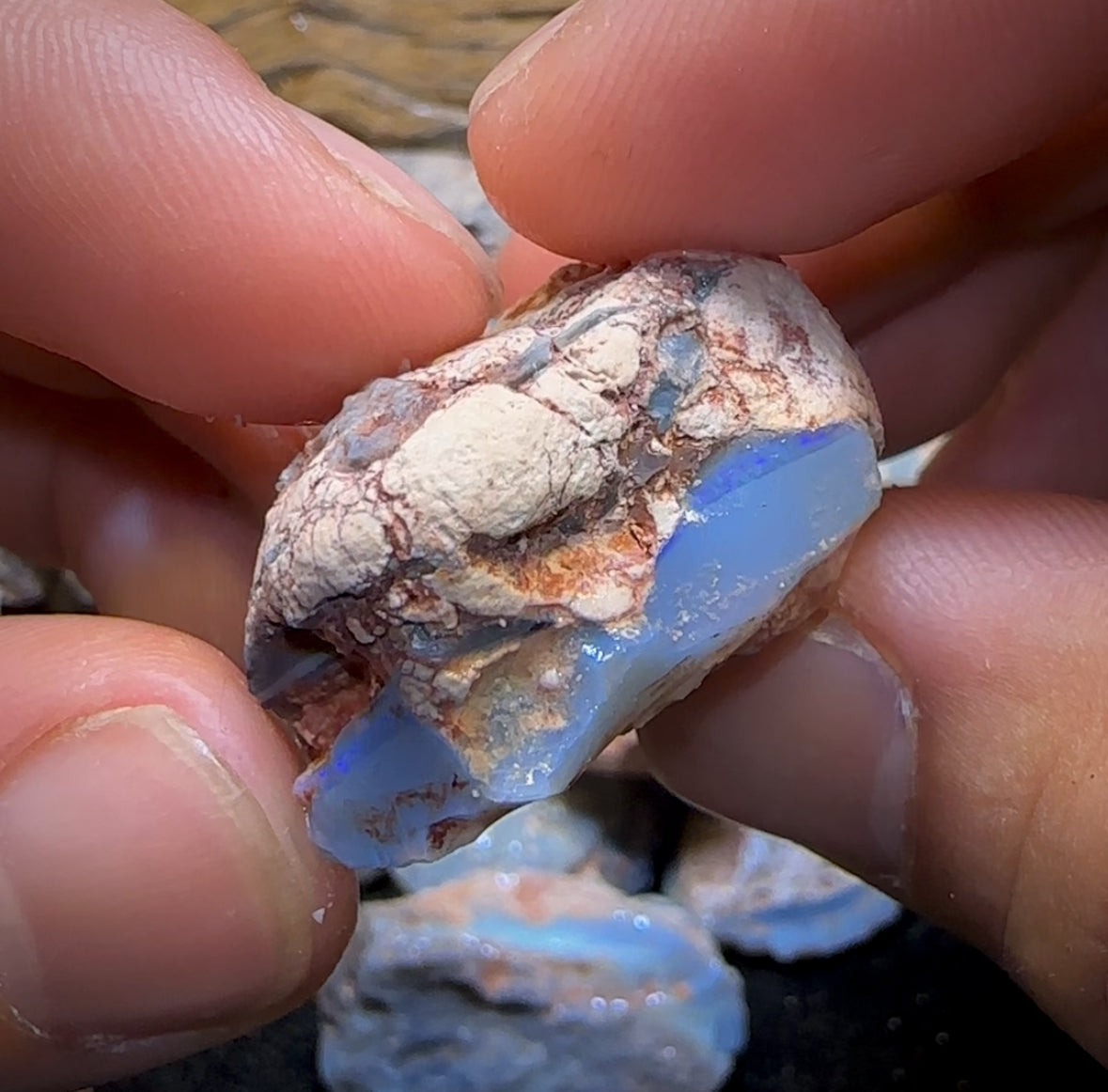 9x Pieces of Lightning Ridge Potch and Colour Rough Opal Parcels. BULK LISTING