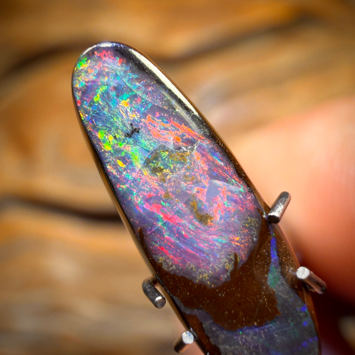 🔨 AUCTION 🔨 Reserve 💎 High Roller Banger Auction 💎 2.5cts - Black Queensland Boulder Seam Opal from Winton