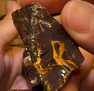 5x Queensland Boulder Opal Cutting Rough. Bulk Listing