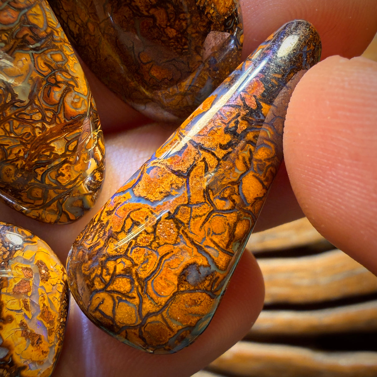 🔒217.7cts - 5x Australian Tribal Boulder Opal’s. Wholesale Dealers Parcel