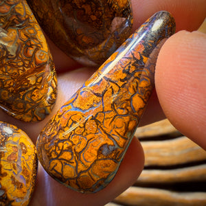 🔒217.7cts - 5x Australian Tribal Boulder Opal’s. Wholesale Dealers Parcel