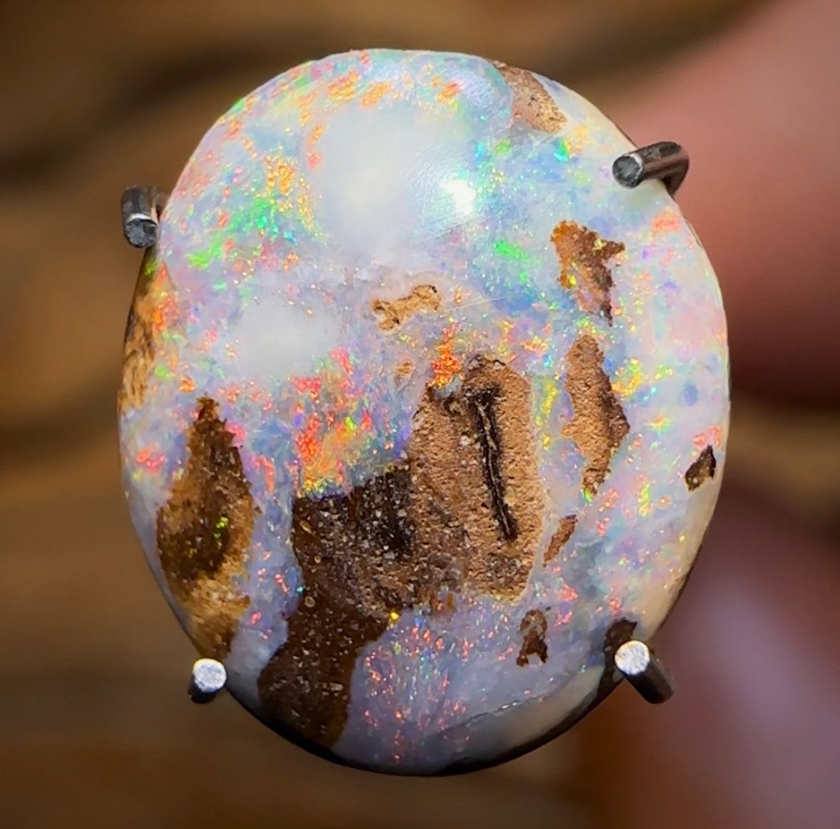 1.5cts - Australian Boulder Seam Opal - Opal Whisperers