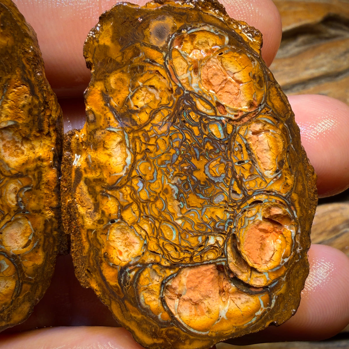 221.4cts - Tribal Yowah Nut Rough Specimen Pair