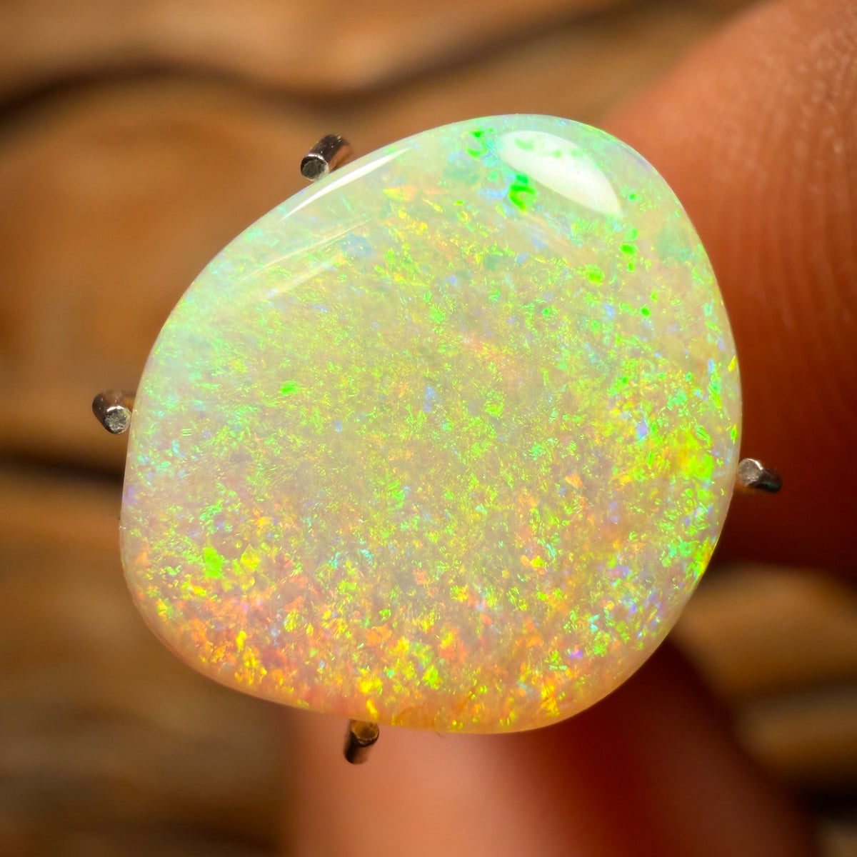 TGIF 3.1cts - Solid Australian Boulder Pipe Golden Green Crystal Opal