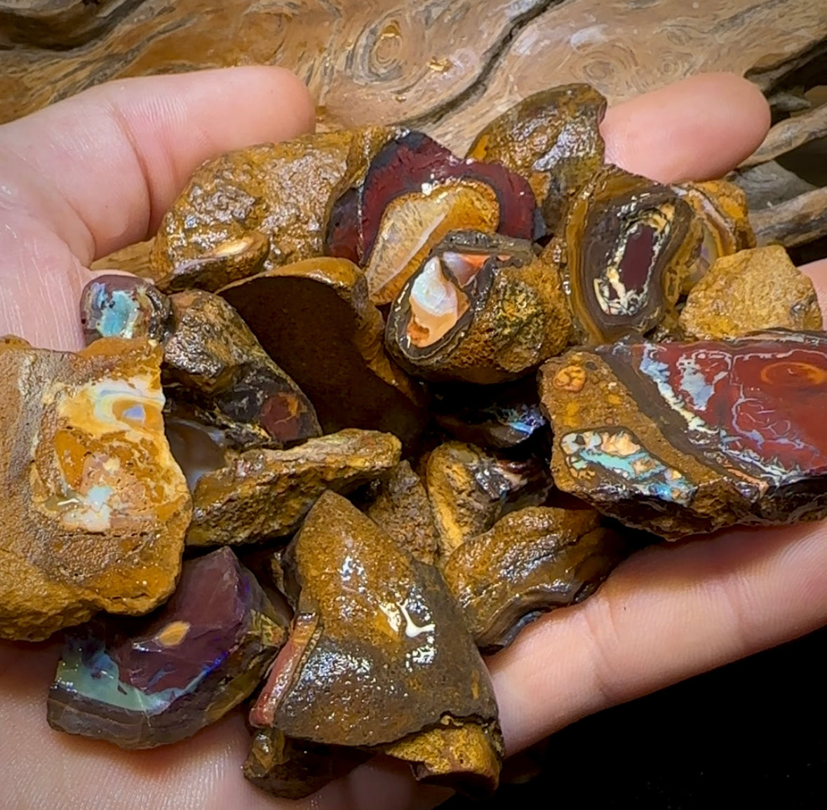 261.8g - 29x Yowah Nut Rough Pieces. Australian Opal With Kernel Crystal Centres. Less than $1/ct - Opal Whisperers