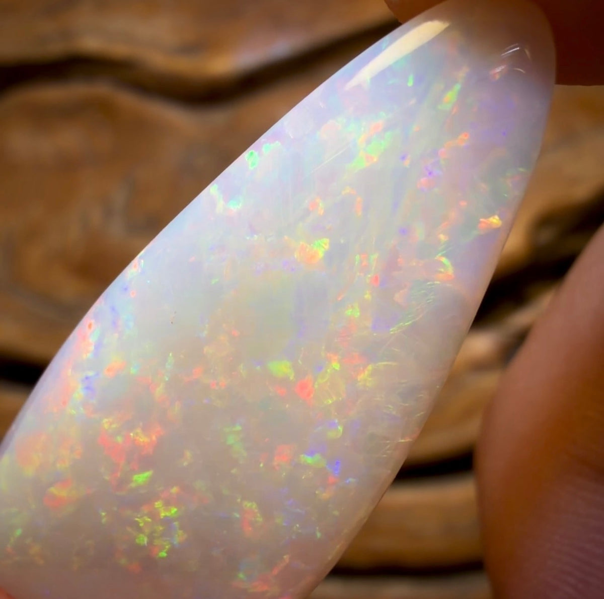 26.9cts - Olympic, South Australian White Opal