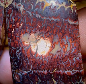 136.8cts - Tribal Koroit Nut Kernel Opal Pair