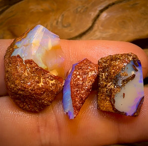 33.7cts - 3x Queensland Boulder Pipe Opal Rough Pieces