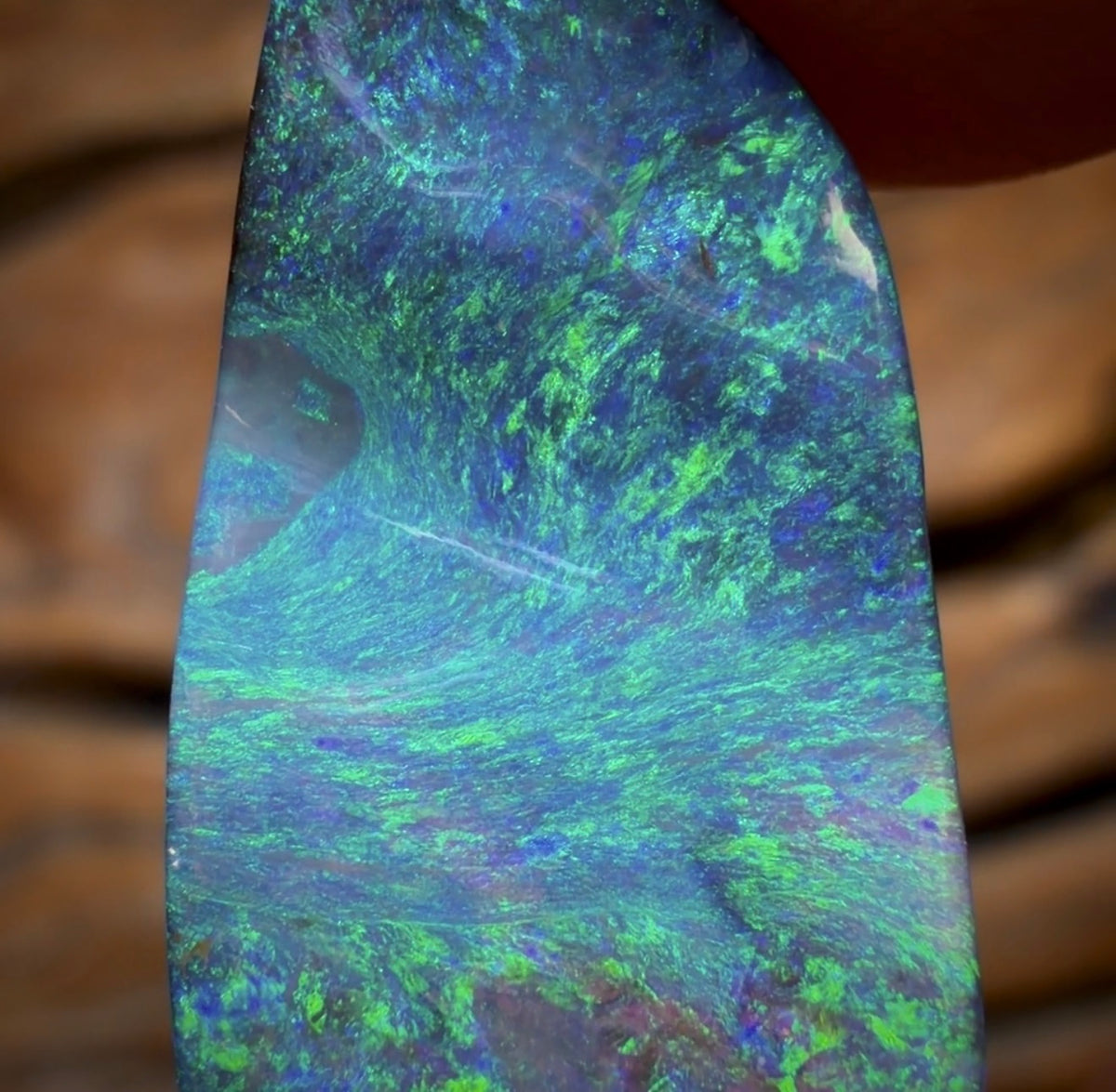 15.4cts - BANGER GEM Queensland Boulder Seam Opal