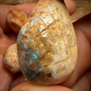 114.8cts - 4x Opalised Fossil Shell Specimens. Featured on ‘Outback Opal Hunters’!