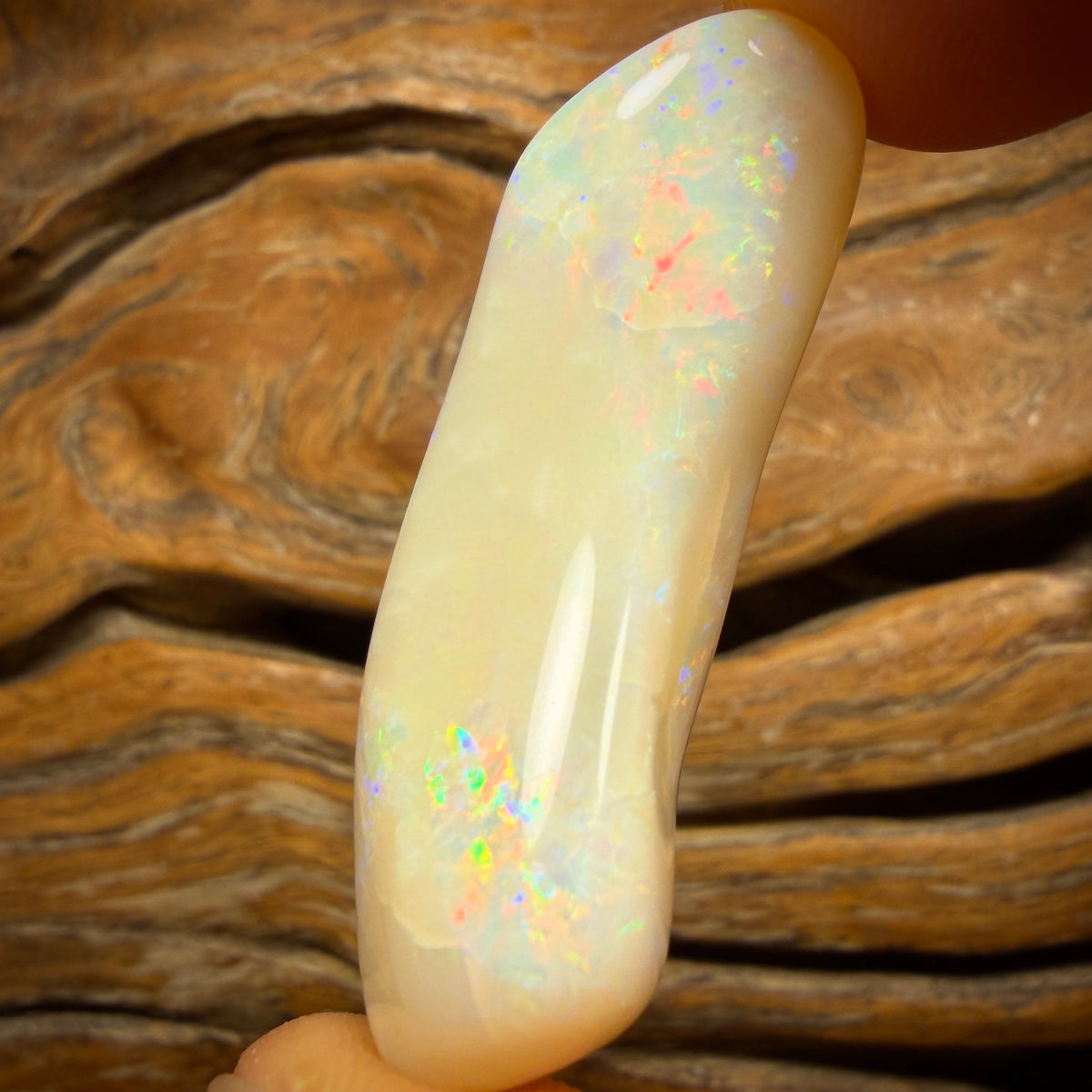 🔨 AUCTION 🔨 Reserve 💎 High Roller Banger Auction 💎 43.3cts - South Australian White Opal. Vintage Cut