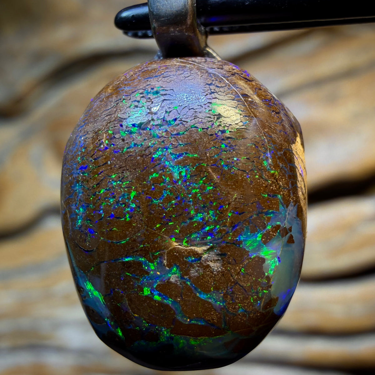 OpalFest WildCard! 20.1cts - Solid Queensland Boulder Opal Pendant