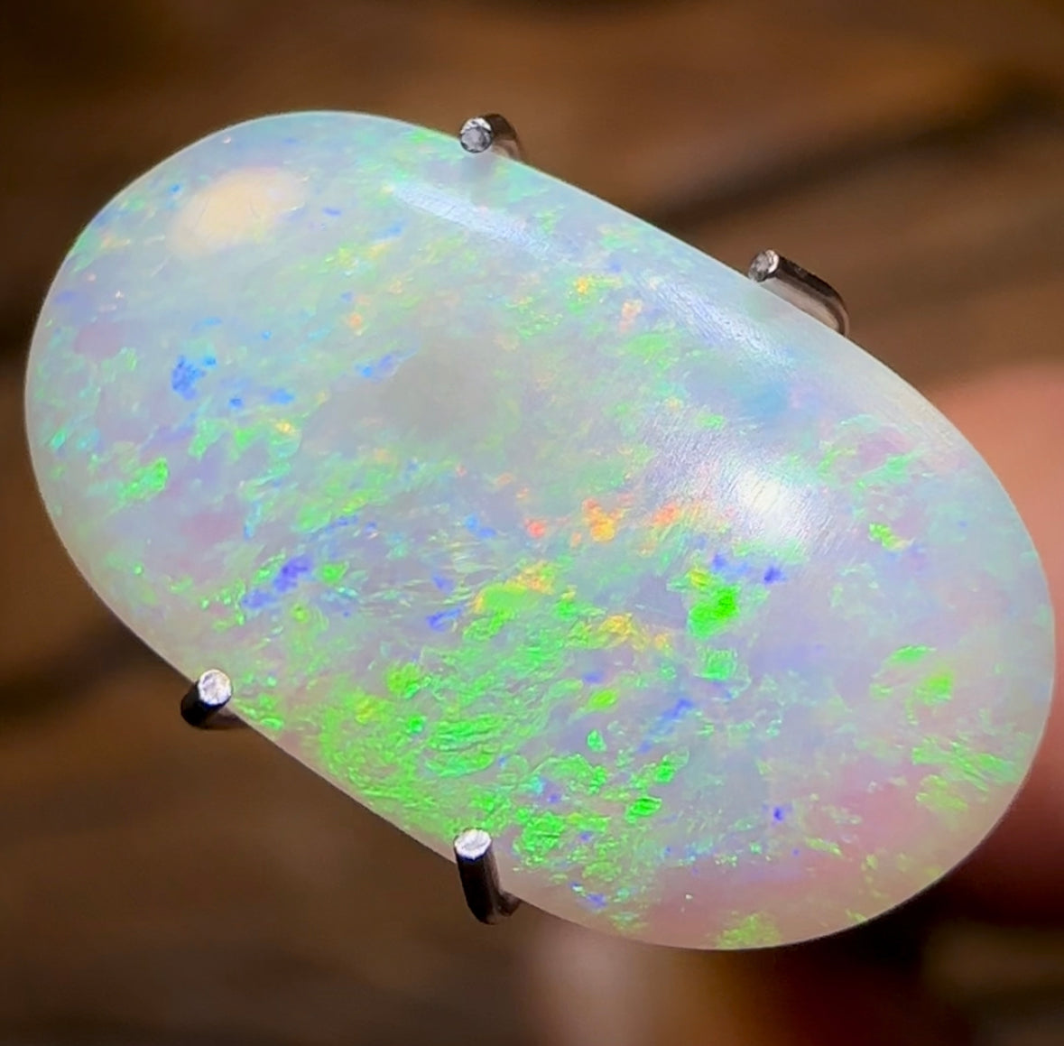 1.7cts - Lightning Ridge Crystal Opal - Opal Whisperers