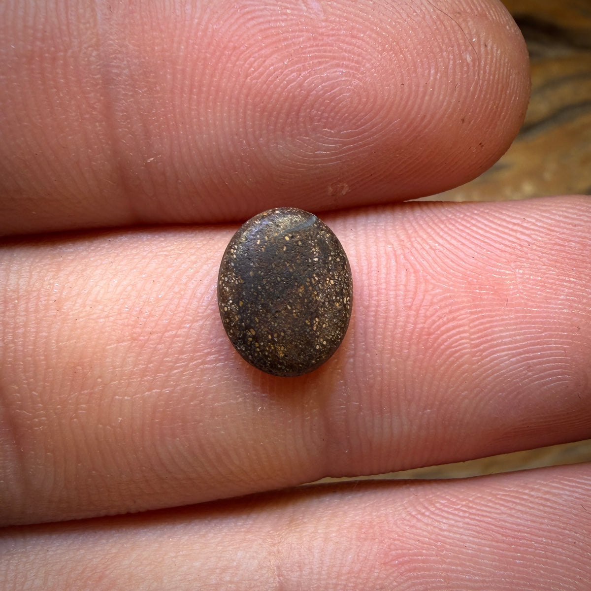 🔨 AUCTION 🔨 1.4cts - Australian Boulder Opal Doublet