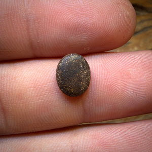 🔨 AUCTION 🔨 1.4cts - Australian Boulder Opal Doublet