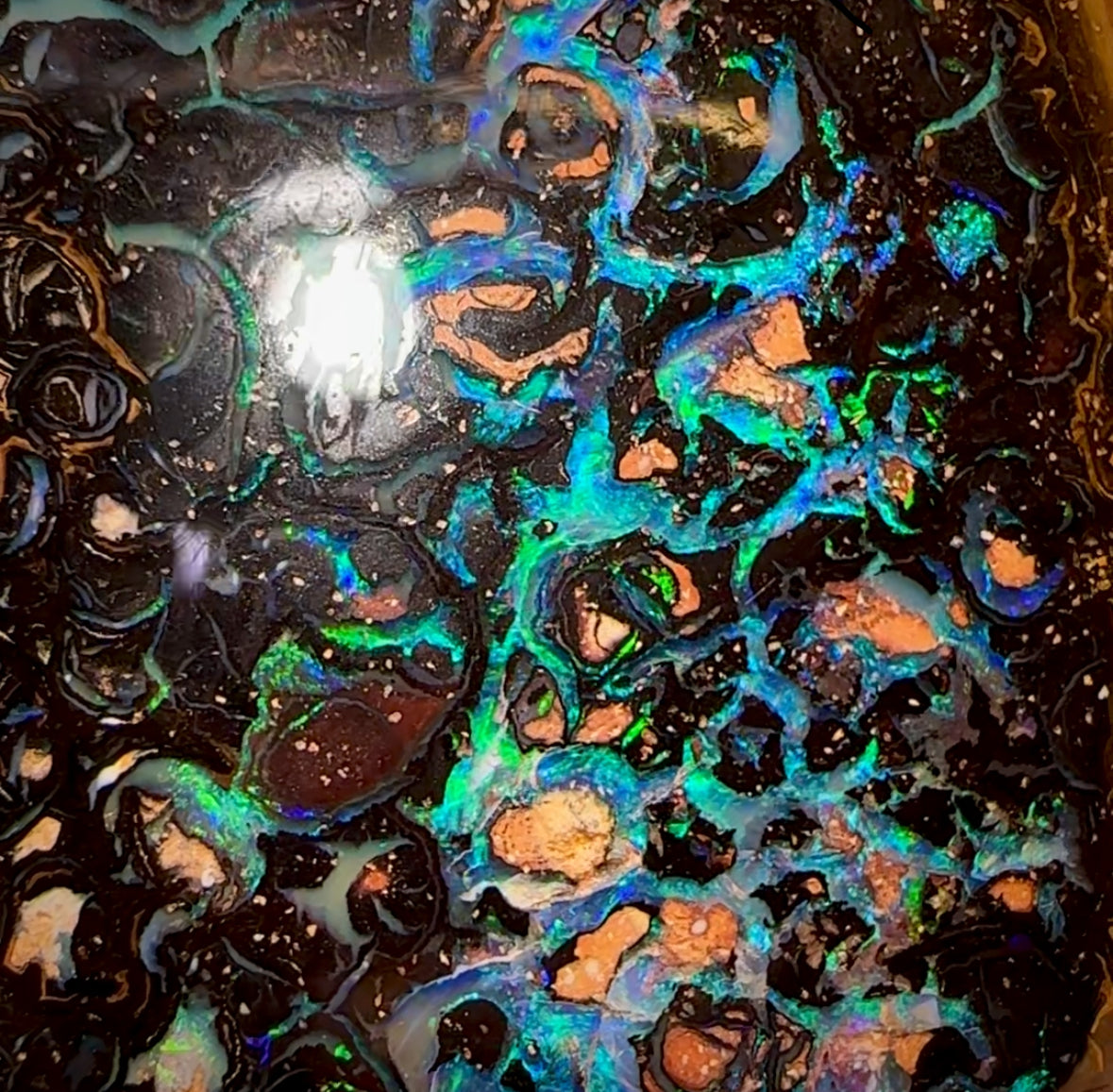 171.4cts - ‘Outback Oasis 2’ Top GEM Tribal Queensland Boulder Opal