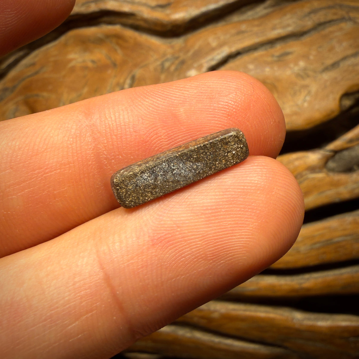 🔨 AUCTION 🔨 Reserve 💎 High Roller Banger Auction 💎 2.9cts - Australian Boulder Seam Opal