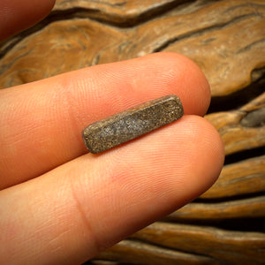 🔨 AUCTION 🔨 Reserve 💎 High Roller Banger Auction 💎 2.9cts - Australian Boulder Seam Opal