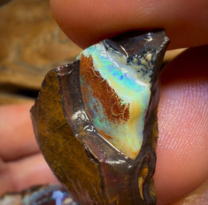 🔒 221,6 cts - Lot de 5 opales brutes Yowah Nut. Opale boulder australienne.