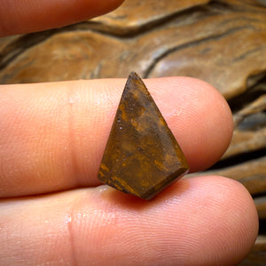 Wildcard! 7.9cts - Queensland Boulder Seam Opal Rub