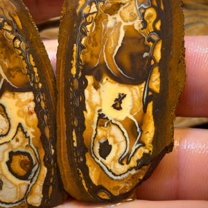 Bargain Card! 150.5cts - Yowah Nut Tribal Opal Rough Specimen Pair