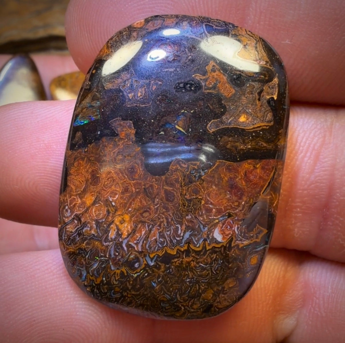 135.1cts - 3x Australian Tribal Boulder Opal’s. Wholesale Dealers Parcel