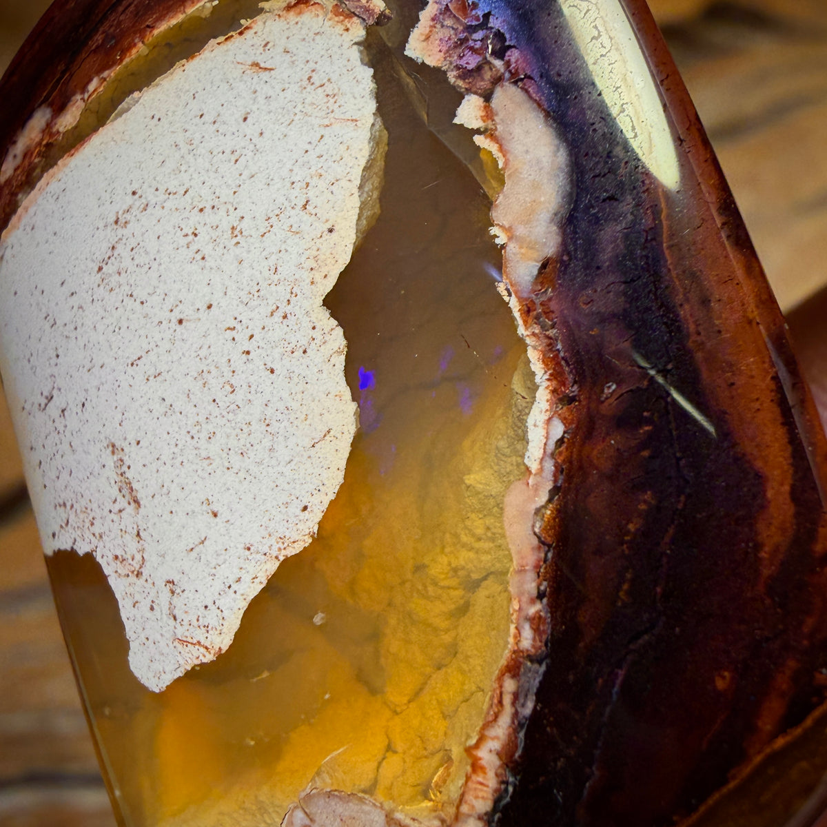 187.9cts - Yowah Nut Kernel Opal