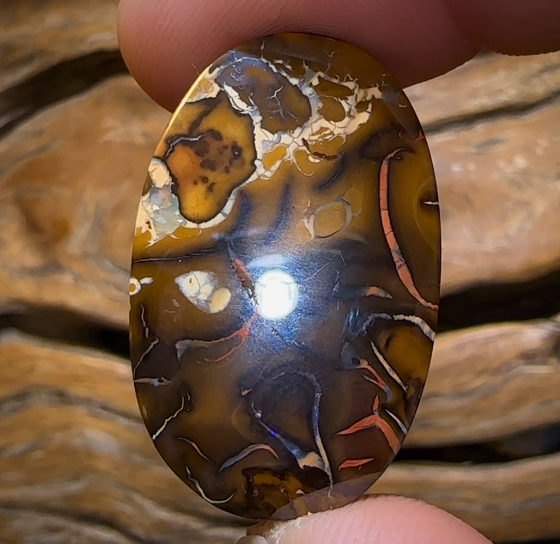 60.1cts - Big Queensland Boulder Opal. Yowah Tribal