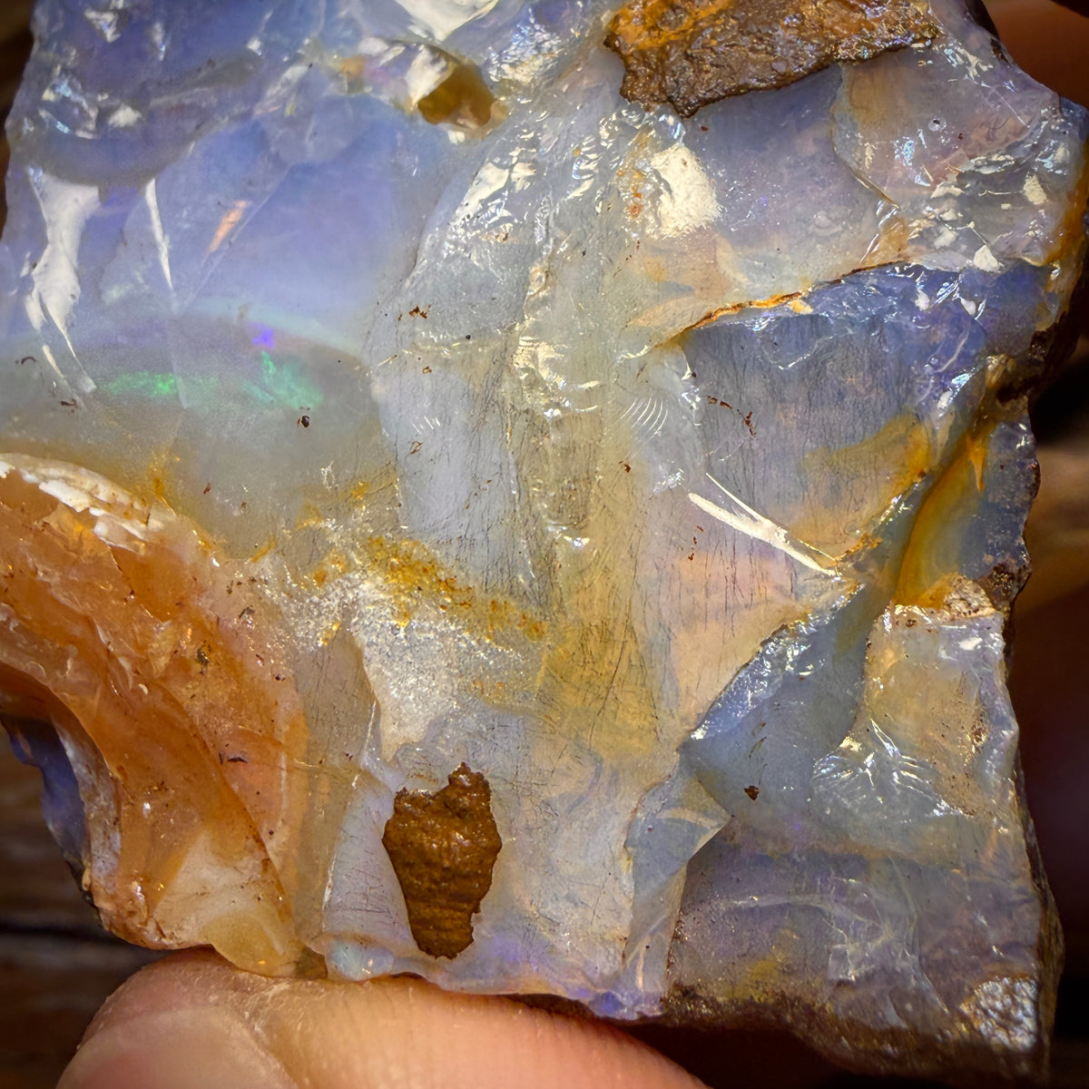 554 cts - Ébauche d'opale brute de Boulder Seam du Queensland
