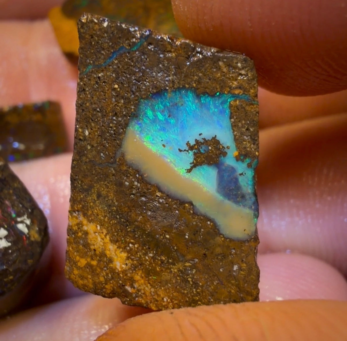 🔒50.6cts - 4x Australian Boulder Opal Rough Parcel