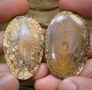 157.8cts - Yowah Nut Opal Matching Pair. Tribal Pattern