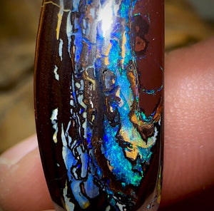 22.9cts - Tribal Australian Boulder Opal. Aquatic Pattern on Black iron stone.