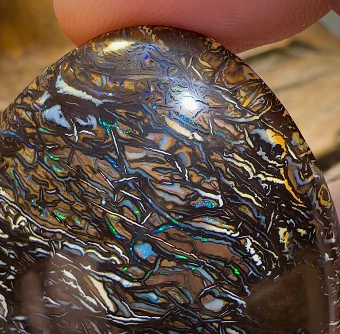 243.3cts - Top Tribal Art Australian Boulder Opal Specimen Polished - Opal Whisperers