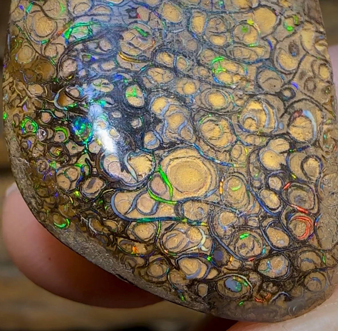 46.3cts - Yowah Nut Tribal. Australian Boulder Opal - Opal Whisperers