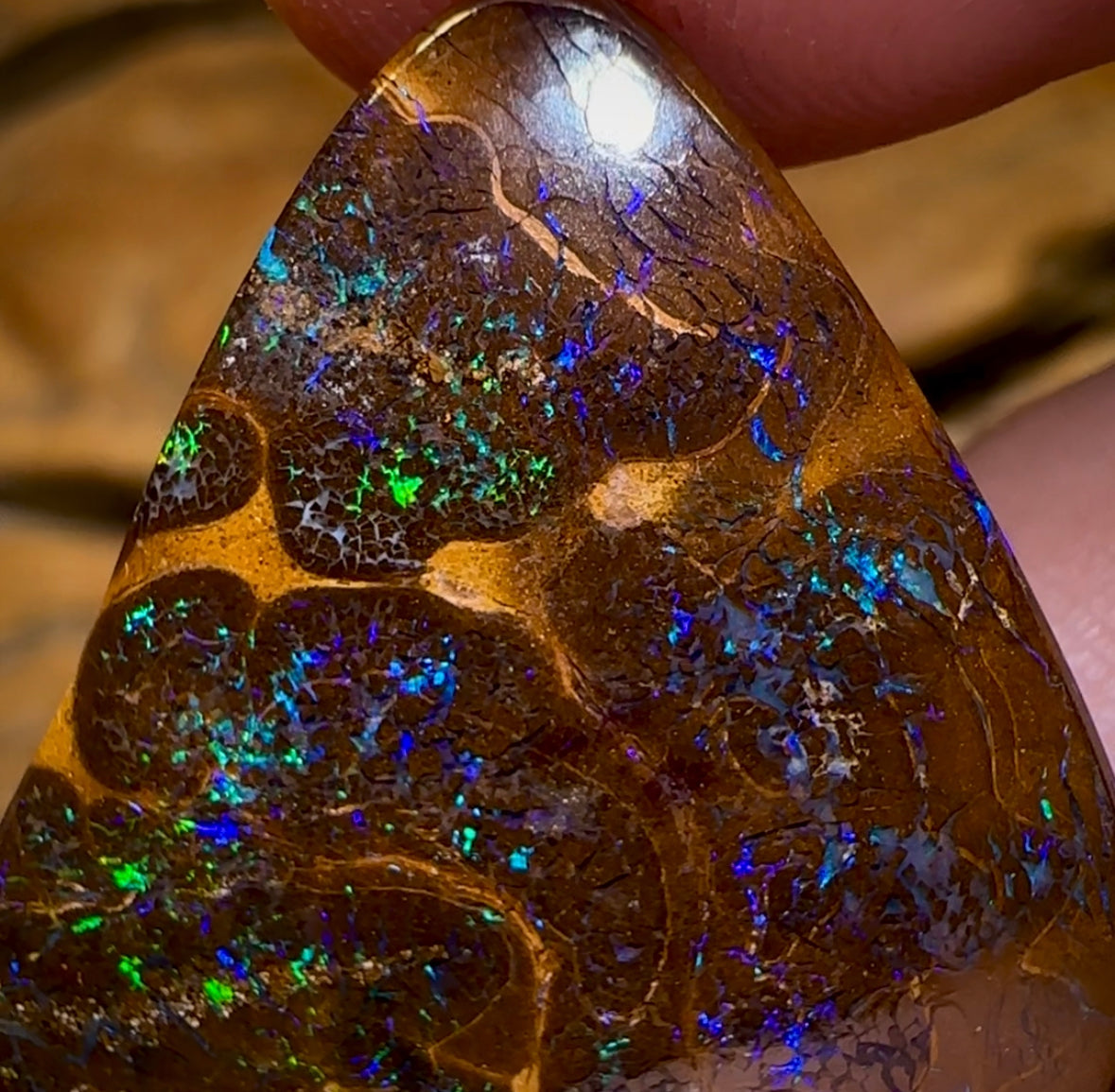 26.8cts - Bubble Band Opal from Winton