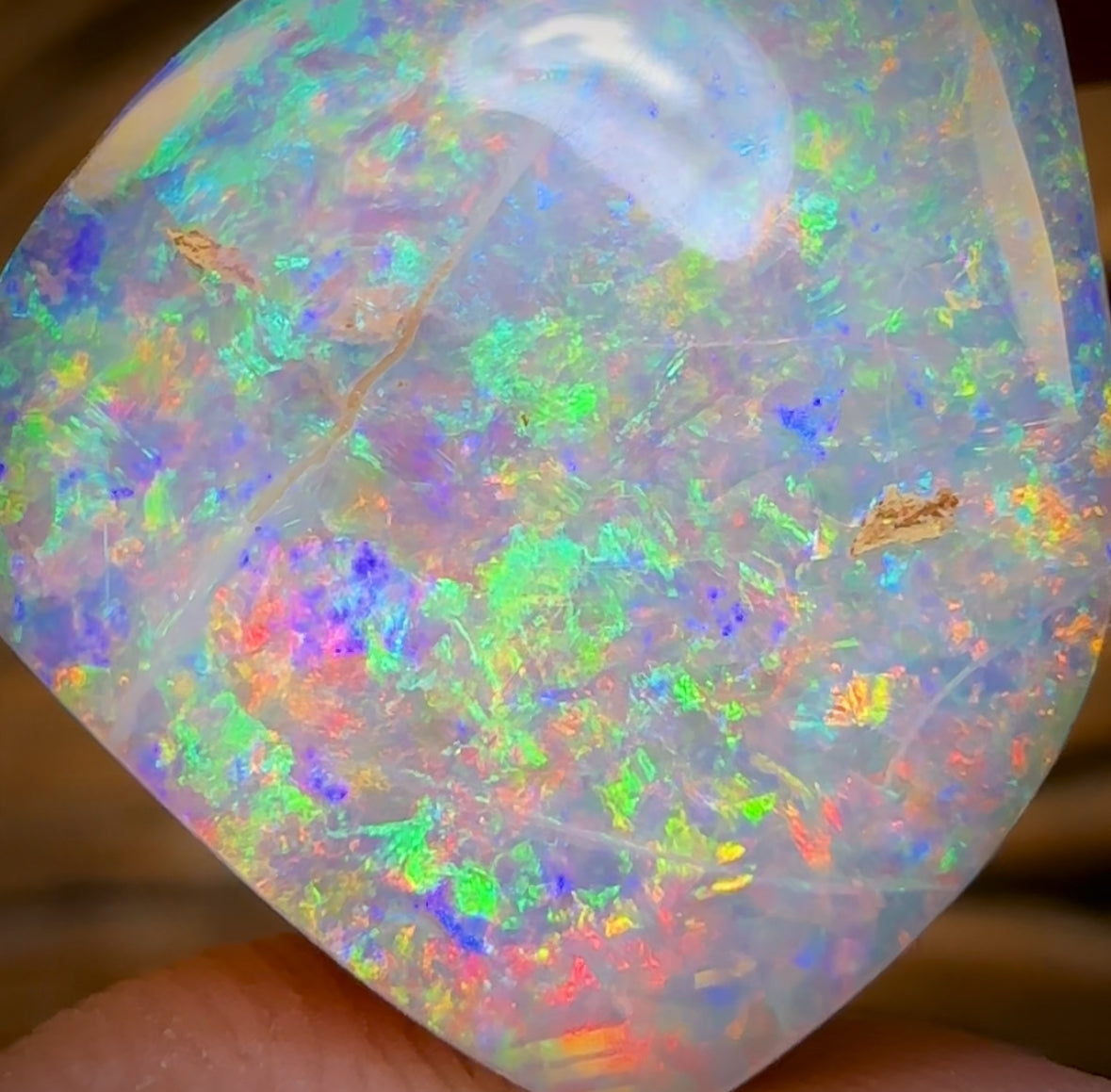 27.2cts - TOP GEM Australian Boulder Wood Fossil Opal From Yowah. Red Multicolours!