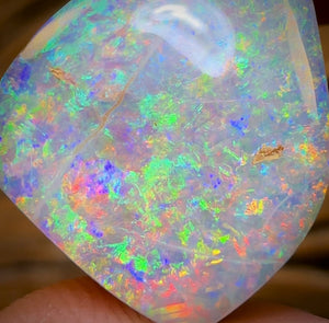 27.2cts - TOP GEM Australian Boulder Wood Fossil Opal From Yowah. Red Multicolours!