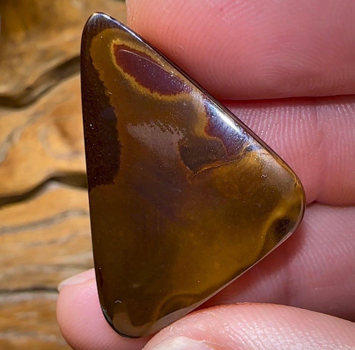 (Template) 34.5cts - Tribal Koroit Nut. Dark Ironstone - Opal Whisperers